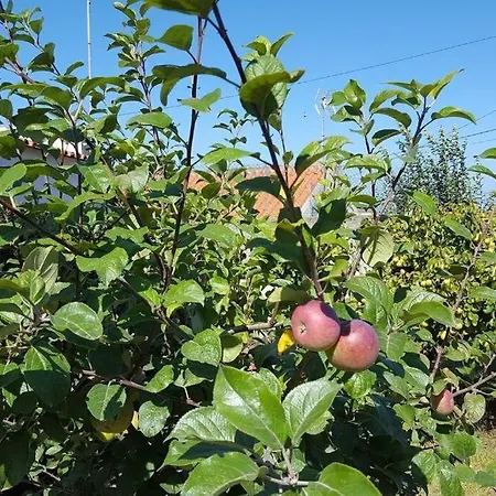 Casa Da Ti' Milia Feriehus