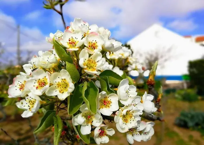 Casa Da Ti' Milia Encarnacao
