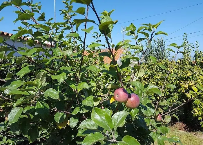 Casa Da Ti' Milia 別荘